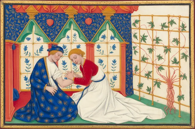 Your Body Wants to Heal: a miniature for the planned letter